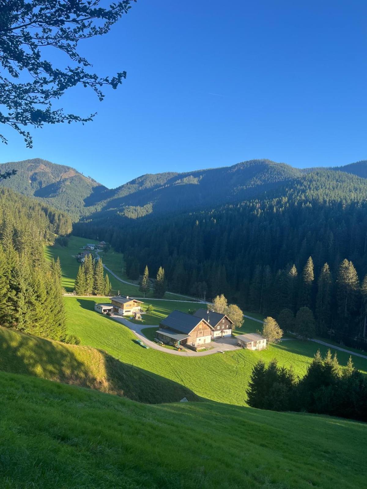 Willa Huette Neuhaus Annaberg im Lammertal Zewnętrze zdjęcie