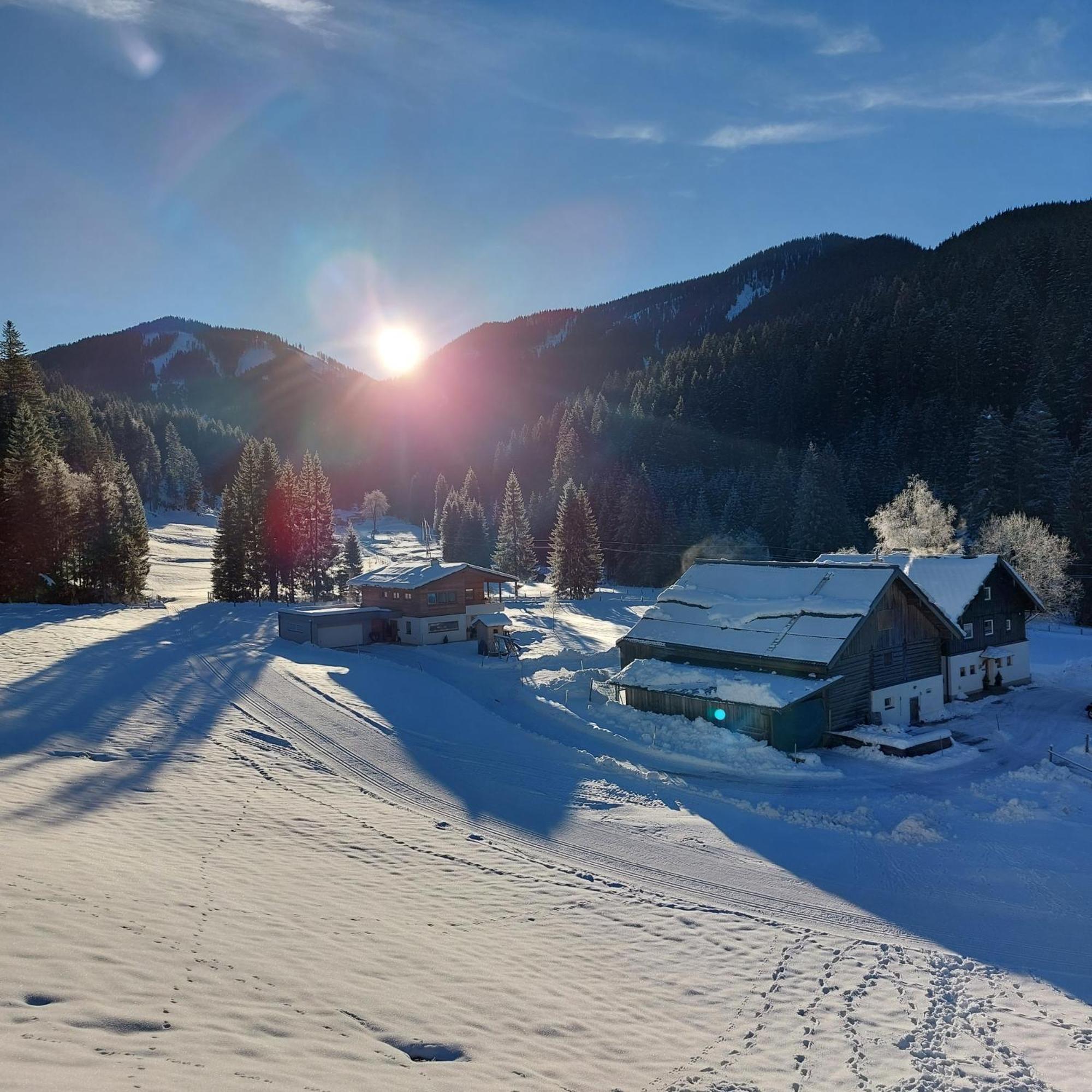 Willa Huette Neuhaus Annaberg im Lammertal Zewnętrze zdjęcie